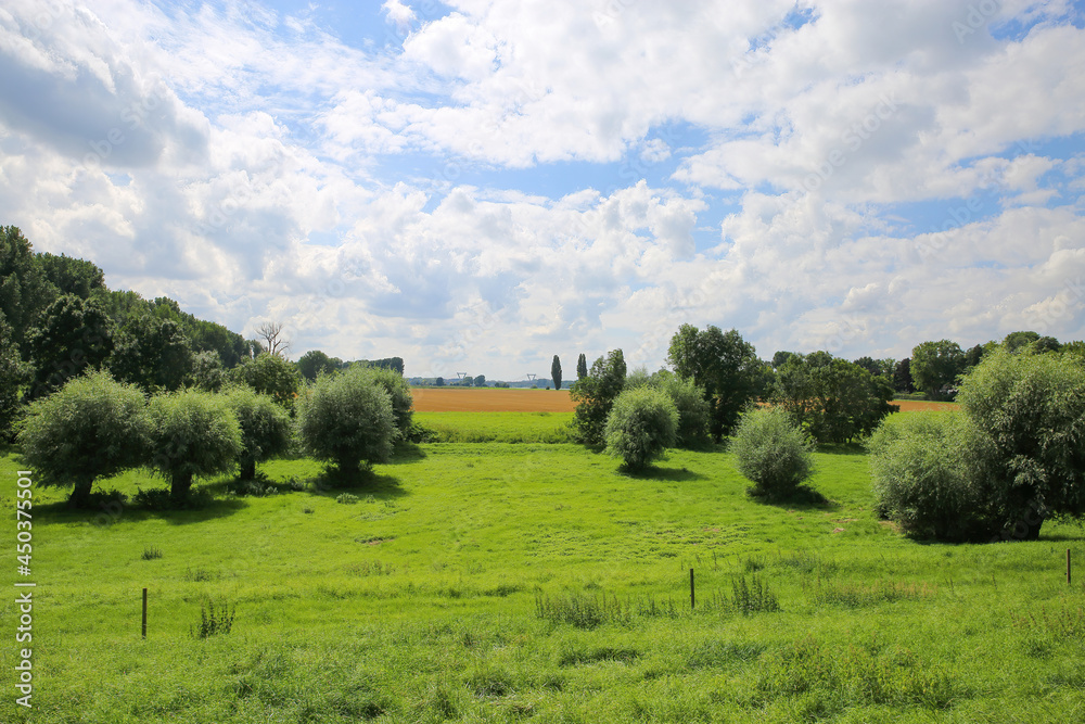 View on lush green meadow with trees used as floodplain for river rhine in summer with sky clouds - (Dusseldorf, Kaiserswerth - Germany) View on lush green meadow with trees used as floodplain for river rhine in summer with sky clouds - (Dusseldorf, Kaiserswerth - Germany)