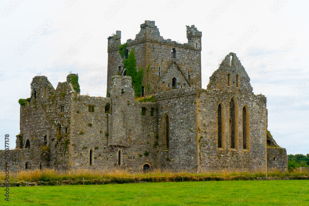 Dunbrody Abbey