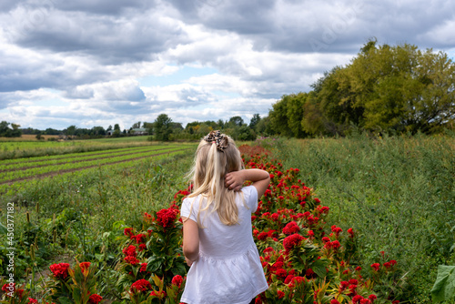 Back view of little girl in a field of flowers