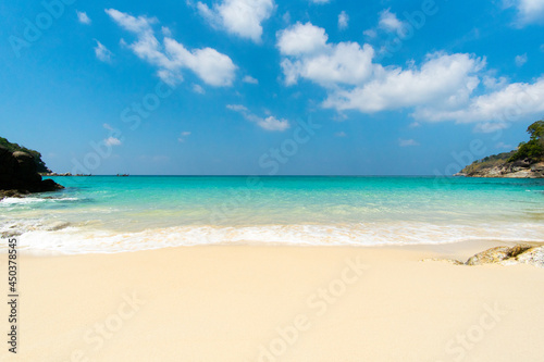 beach with coconut trees © BUDDEE