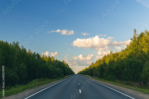 Asphalt Road In Green Forest.