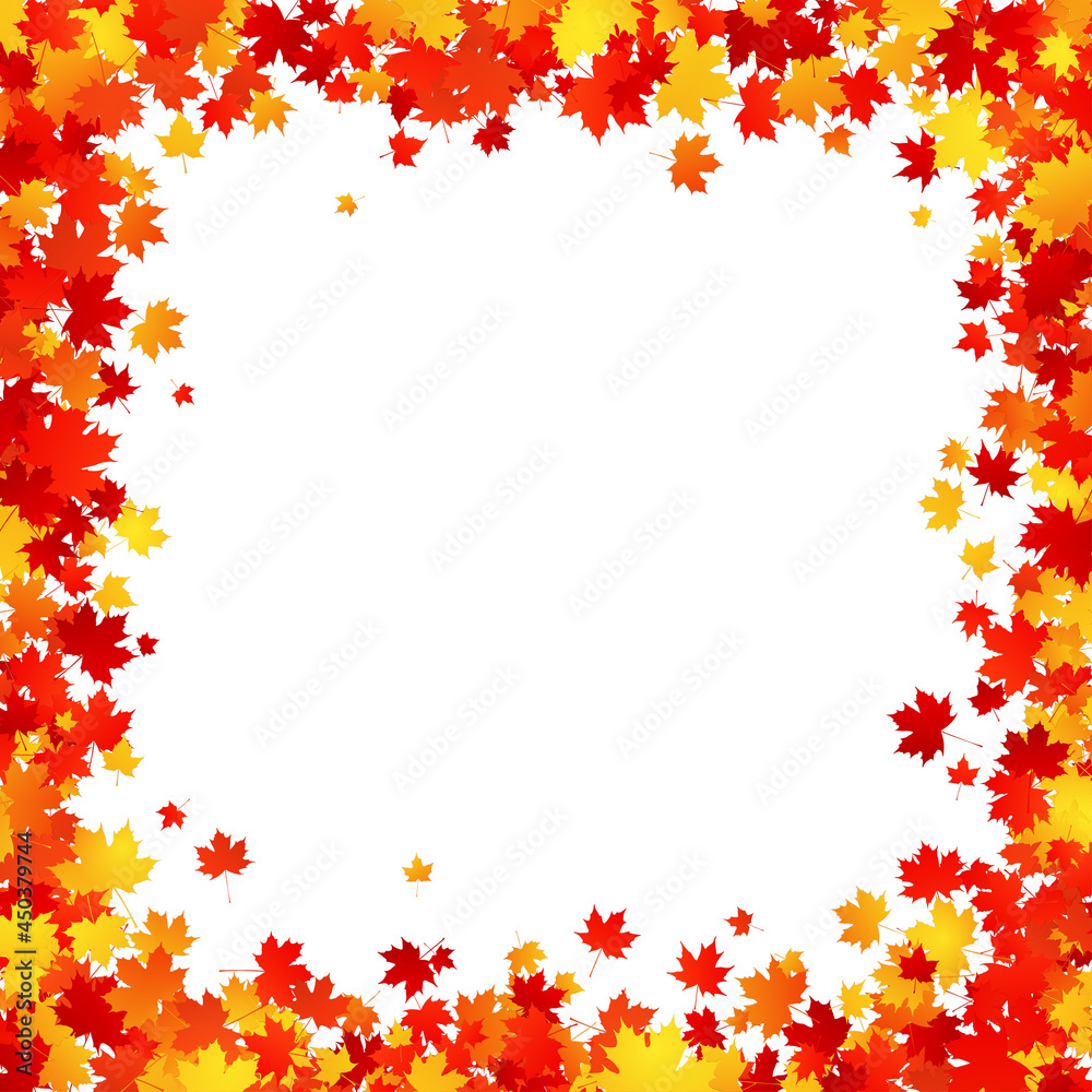 Maple leaves square border frame on white background. Vector Maple leaves square border frame on white background. Vector