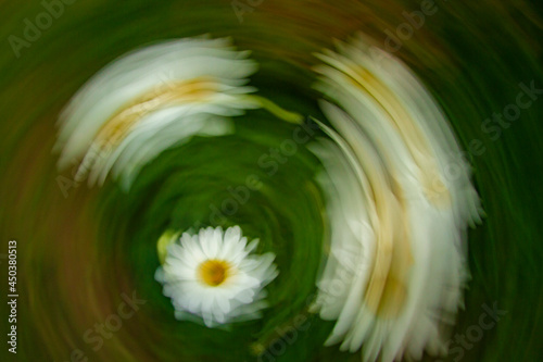 Margarita en movimiento