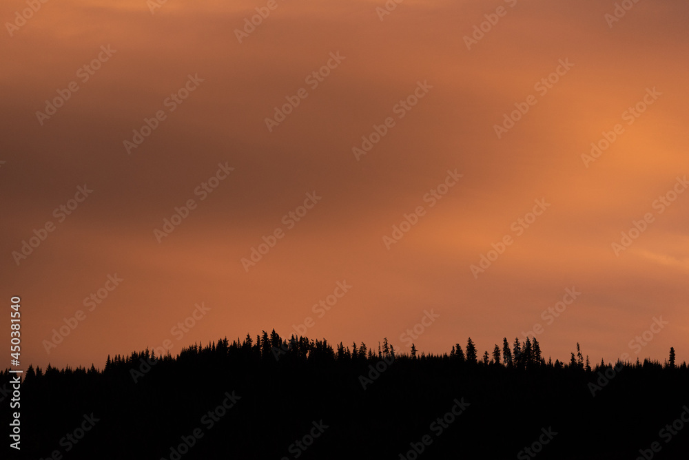 Orange sunset sky over silhouetted forest trees of the Pacific Northwest with copy space
