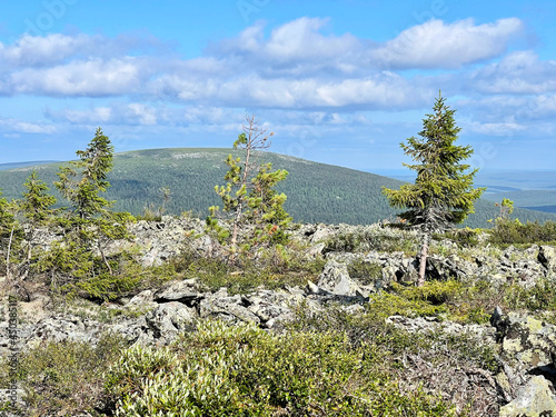 Ural Mountains on the territory of the Pechora-Ilychsky Reserve in the summer. Komi Republic, Russia photo