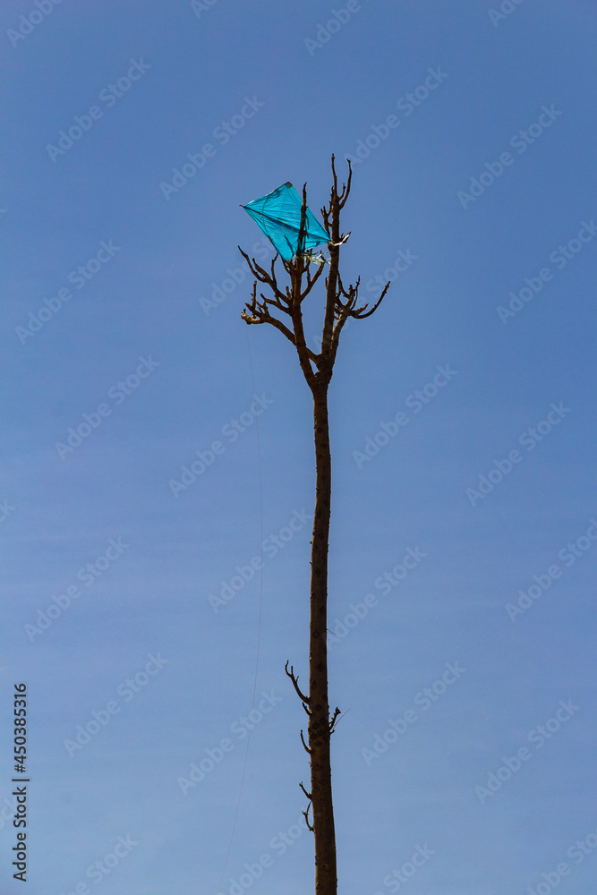 Uma pipa azul presa em galhos de uma árvore seca com céu azul ao fundo. Uma pipa azul presa em galhos de uma árvore seca com céu azul ao fundo.