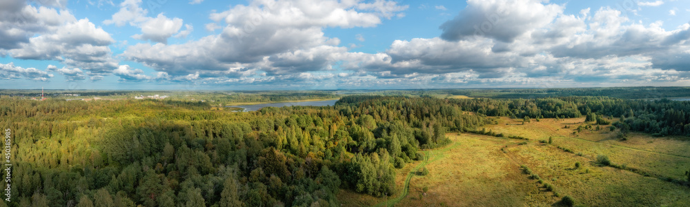 Forest with spots of sun light and small villages panoramic aerial view