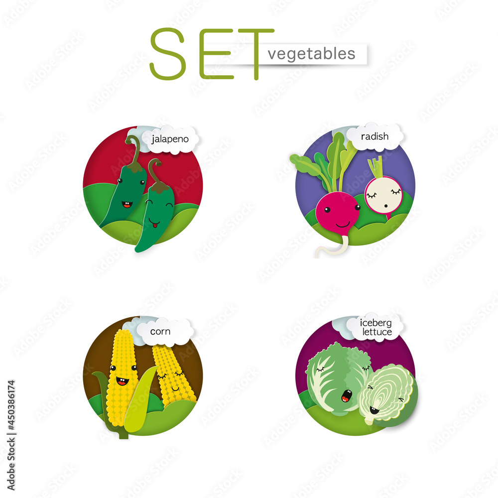 set of cute vegetables such as radishes, jalapenos, corn and iceberg lettuce and paper cut clouds. Template for poster, postcard, packaging.
