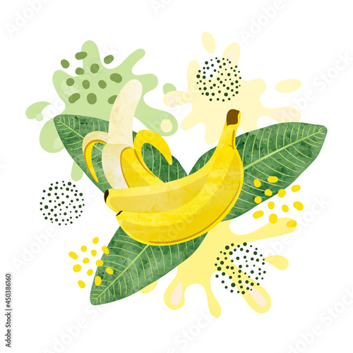 Banana fruit vector illustration. Abstract watercolor bananas juicy splash