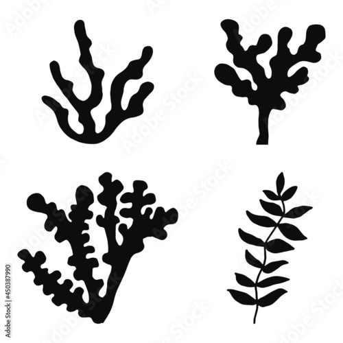 seaweed edible set vector. fertilizers oceanic aquaculture