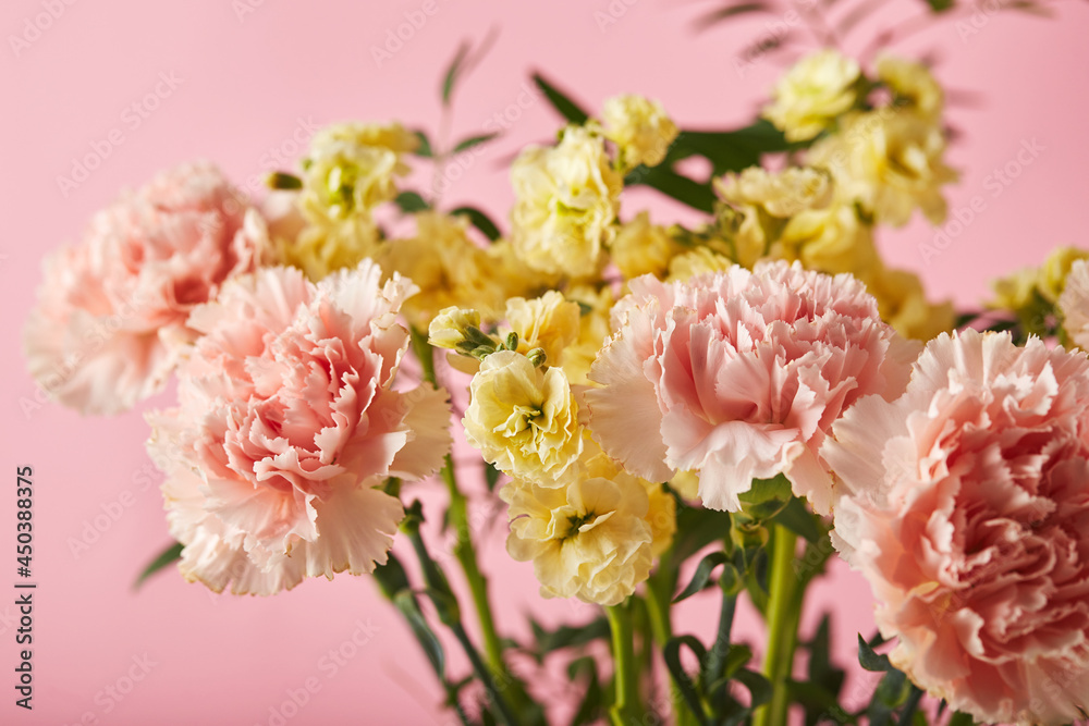 Bouquet of pink carnations and yellow matthiola with green branches. Design concept of holiday greeting with carnation bouquet on pink background Bouquet of pink carnations and yellow matthiola with green branches. Design concept of holiday greeting with carnation bouquet on pink background