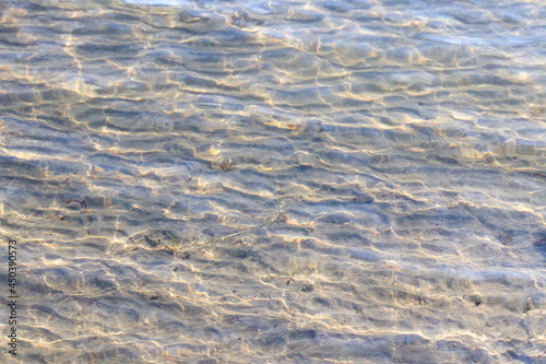 transparent clear water and the bottom of the river