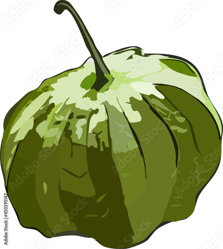 Vector Illustration green tomatillo isolated without background  photo