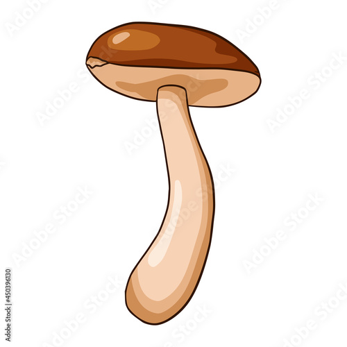Boletus Mushroom Illustration. Line art edible fungus icon for logo, emblem, prints, stickers, coloring worksheets, menu design and decoration