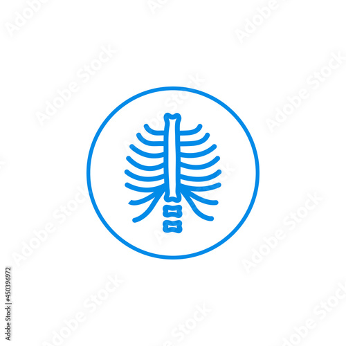 chest x ray icon vector