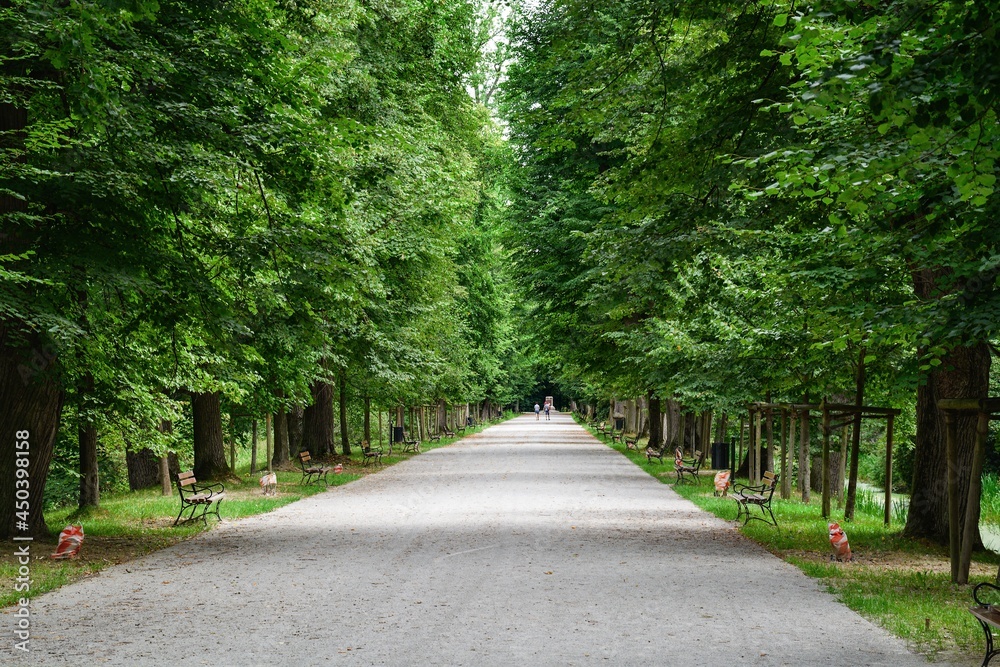 Tree alley to the monument. Moszna Castle. Poland. 