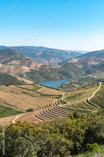 Douro Valley, Portugal. Top view of river, and the vineyards are on a hills.