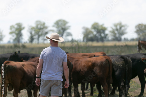 criadores mirando sus vacas photo