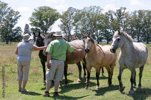 canedian people visiting a ranch in argentina © Santa001