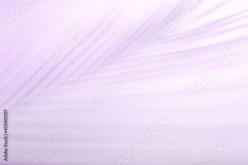 Silhouette of tropical palm leaf on color background, closeup