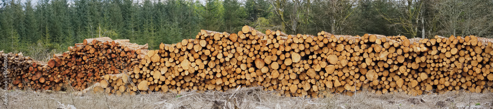 Chopped wood logs for sale use in fire place at home stored on forest woods green biomass energy
