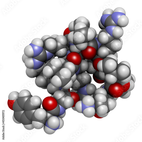 Dynorphin a endogenous opioid peptide molecule. 3D rendering. photo