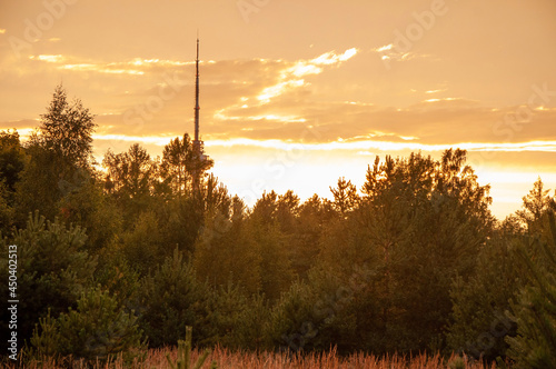 sunset over the field