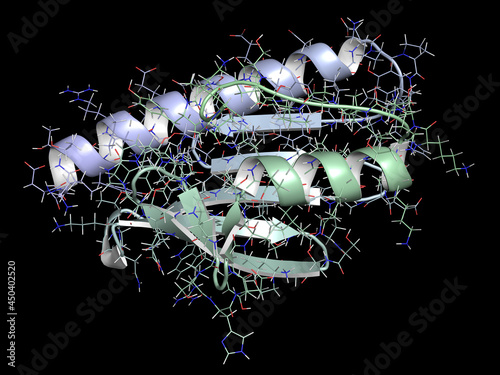 Frataxin (human) mitochondrial protein. Reduced expression causes Friedreich's ataxia. 3D render. photo