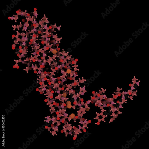 Vascular endothelial growth factor A (VEGF A) protein molecule. photo