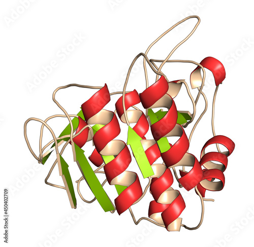 Nattokinase enzyme. Protein produced by Bacillus natto, present photo