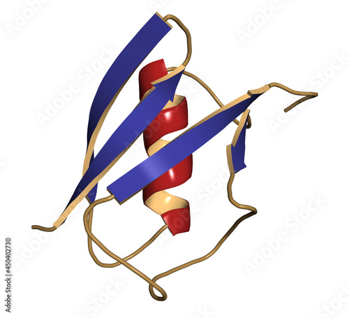 SUMO (Small Ubiquitin-like Modifier, SUMO-1) protein. 3D illustration. photo