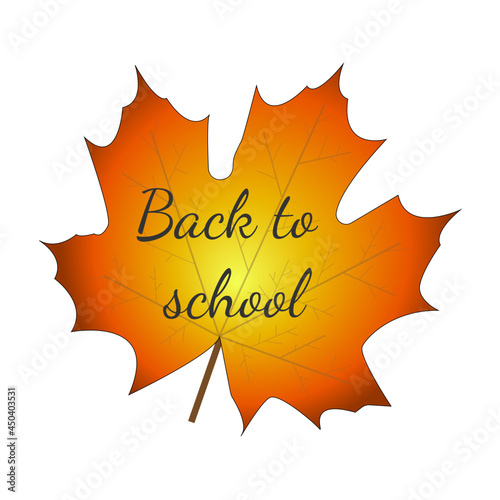 Back to school: autumn leaves on a white background
