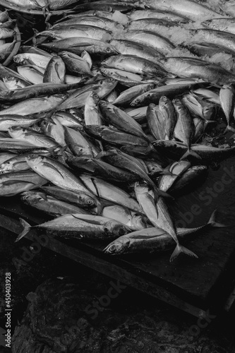 Bunch of mackerel at a wet market