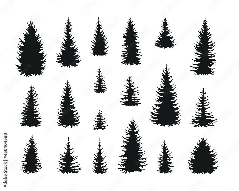 Set of silhouettes of pines, firs. Abstract simple illustration isolated on white background.
