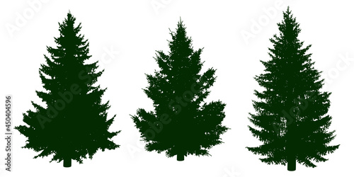Spruce and fir - coniferous silhouettes of Christmas trees isolated on white