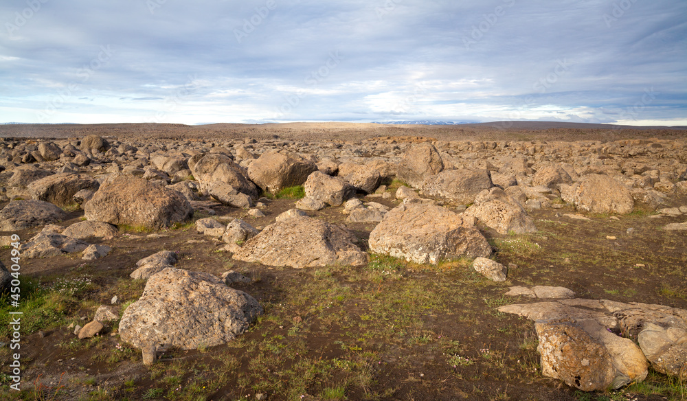A stony plain, thickets of orange moss and mountains on the horizon. Iceland. l
