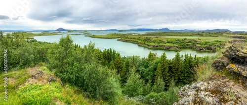 Forest on the hills near river with panoramic views on river valley. Iceland.
