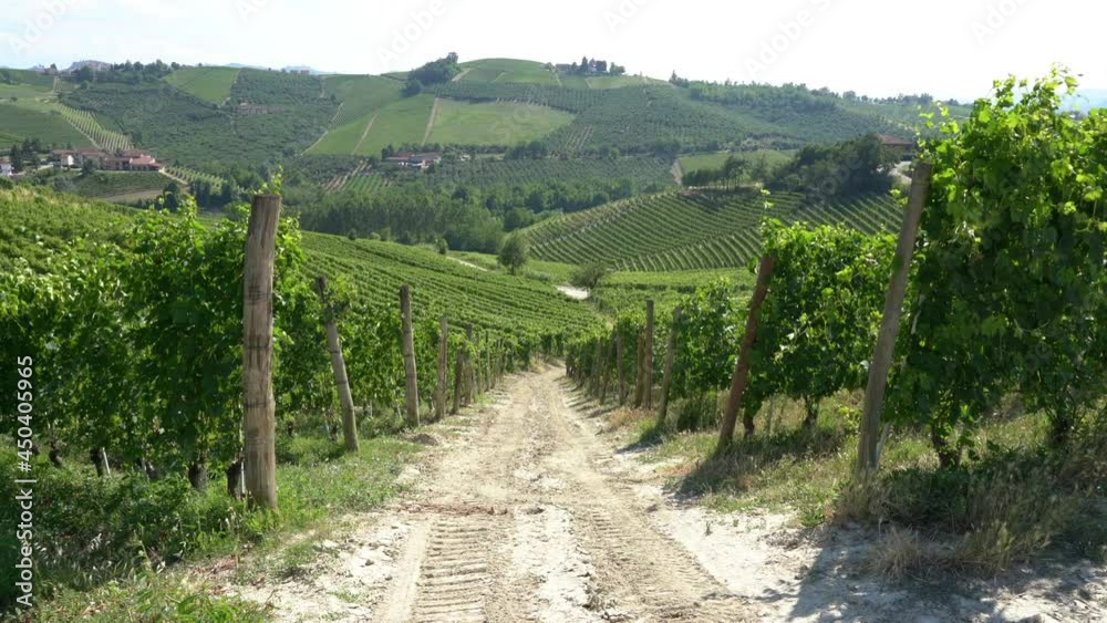 Beautiful hills and vineyards surrounding Treiso, in the Langhe region. Cuneo, Piedmont, Italy. Beautiful hills and vineyards surrounding Treiso, in the Langhe region. Cuneo, Piedmont, Italy.