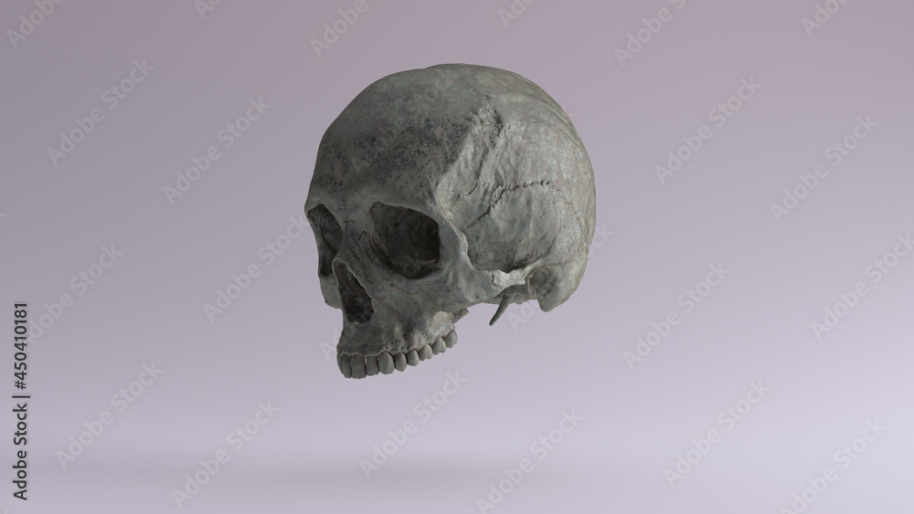 Obraz premium Old Bronze Human Female Skull Medical Anatomical Oxidised Patina Quarter Left Side 3d illustration render