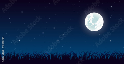 Blue dark night sky with lot of shiny stars and grass ground silhoutte background