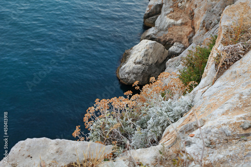 Beige rocks with flowering plants on the background of the sea