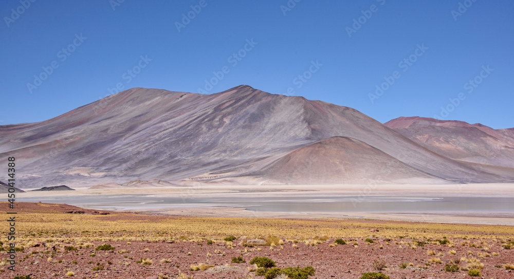 Stunning landscape at the Salar Aguas Calientes, Atacama Desert, Chile Stunning landscape at the Salar Aguas Calientes, Atacama Desert, Chile