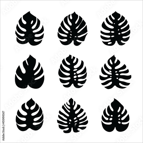 monstera leaves. set of vector icons isolated on white background