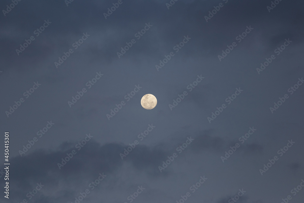 Grey Moon Grey Moon