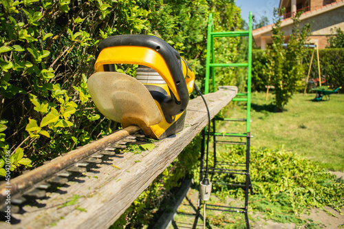 Hedge trimmer on top of a wooden plank photo