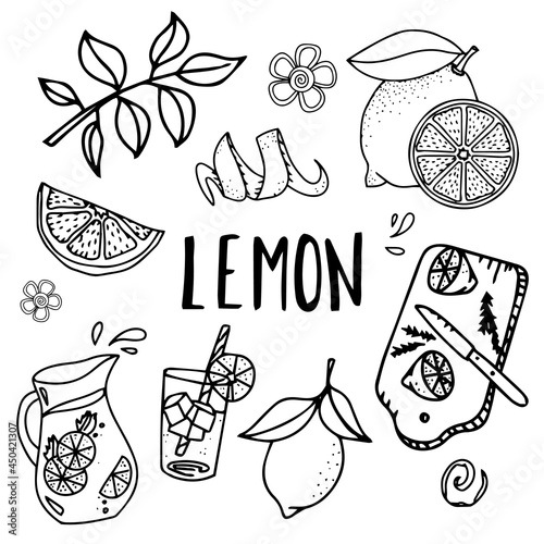 Lemons set. Vector sketch, doodle isolated on white background. Lemon hand drawn sketch collection. Lemon vector fruit vegan cuisine ingredient.