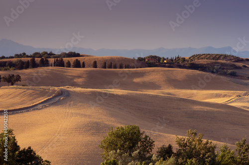 Wide angle landscape shot of the beautiful rolling hills of the tuscan countryside lit bu the golden light of the setting sun. postcard from tuscany