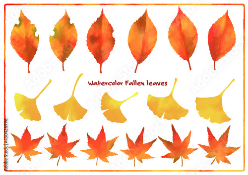 落ち葉 紅葉 水彩 イラスト