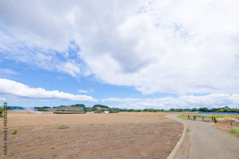 神奈川県三浦半島の風景