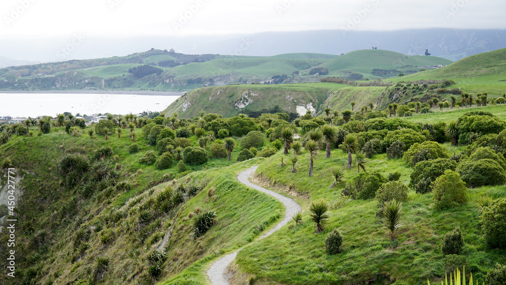 Coastal sea landscapes near Kaikoura on the South Island of New Zealand.